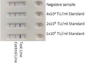 lentivirus-2